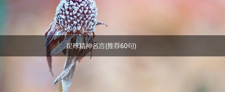 足球精神名言(推荐60句),第1张