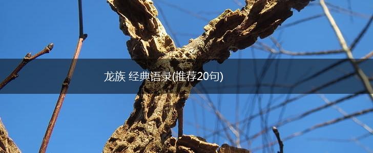 龙族 经典语录(推荐20句),第1张