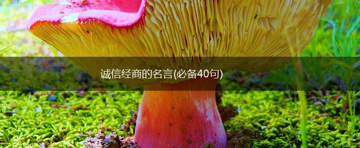 诚信经商的名言(必备40句),第1张