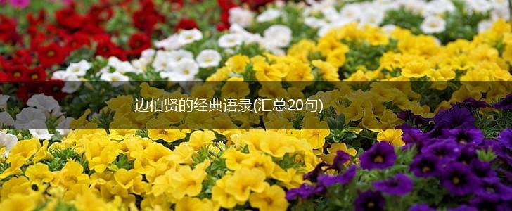 边伯贤的经典语录(汇总20句),第1张
