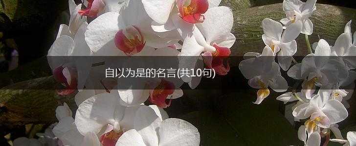 自以为是的名言(共10句),第1张