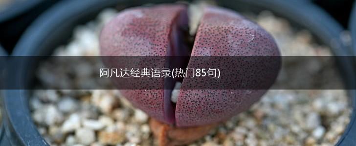 阿凡达经典语录(热门85句),第1张