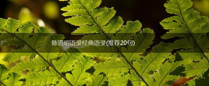 陈道明语录经典语录(推荐20句),第1张