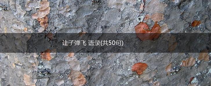 让子弹飞 语录(共50句),第1张