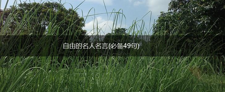 自由的名人名言(必备49句),第1张 自由的名人名言(必备49句),第1张