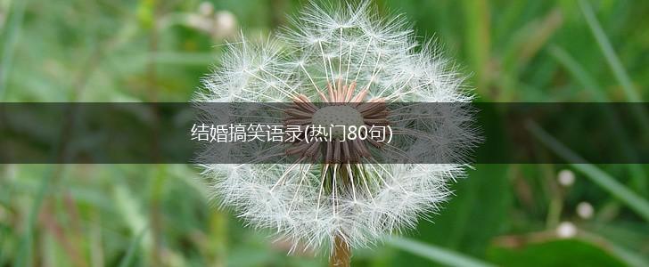 结婚搞笑语录(热门80句),第1张