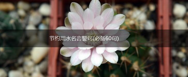 节约用水名言警句(必备60句),第1张 节约用水名言警句(必备60句),第1张