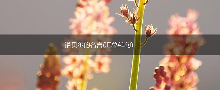 诺贝尔的名言(汇总41句),第1张