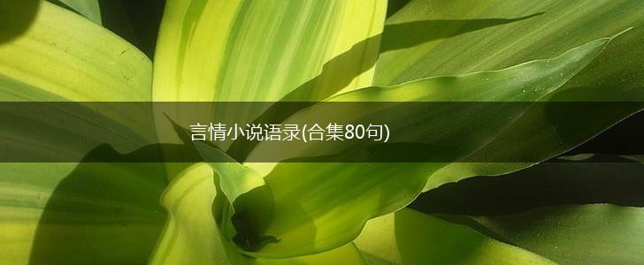 言情小说语录(合集80句),第1张