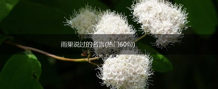 雨果说过的名言(热门60句),第1张