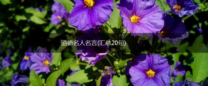 道德名人名言(汇总20句),第1张 道德名人名言(汇总20句),第1张