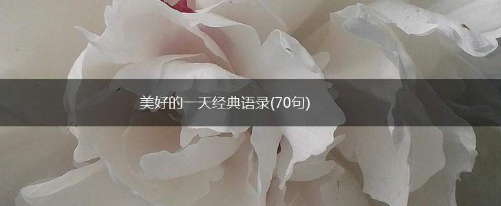 美好的一天经典语录(70句),第1张