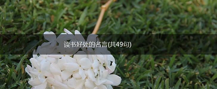 读书好处的名言(共49句),第1张 读书好处的名言(共49句),第1张