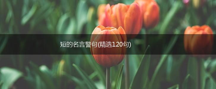 短的名言警句(精选120句),第1张 短的名言警句(精选120句),第1张