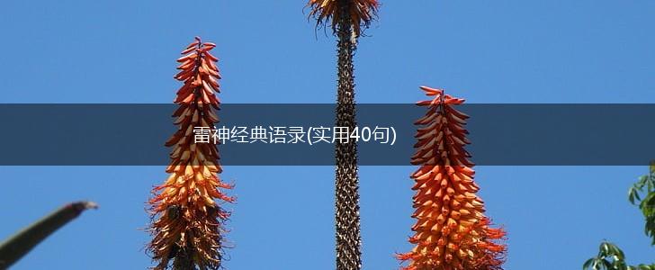 雷神经典语录(实用40句),第1张