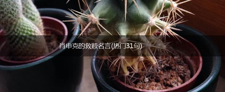 肖申克的救赎名言(热门31句),第1张