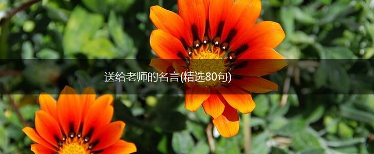 送给老师的名言(精选80句),第1张 送给老师的名言(精选80句),第1张