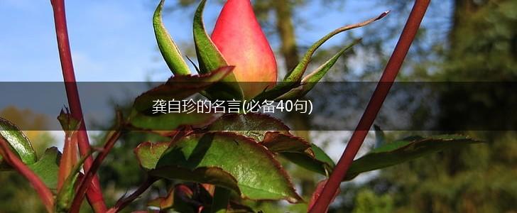 龚自珍的名言(必备40句),第1张