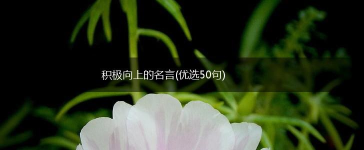 积极向上的名言(优选50句),第1张