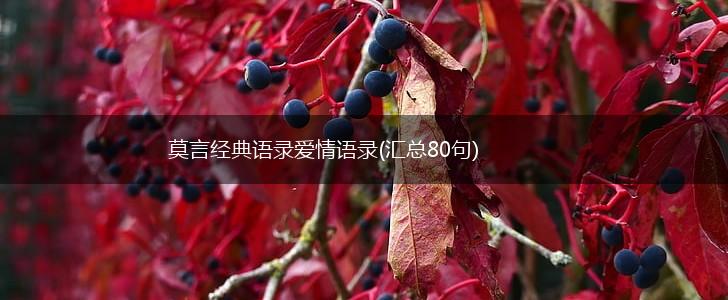 莫言经典语录爱情语录(汇总80句),第1张