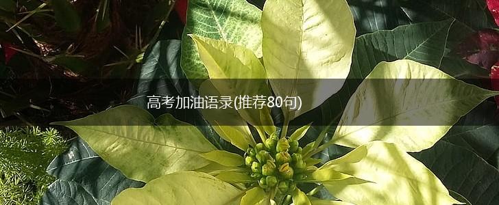 高考加油语录(推荐80句),第1张