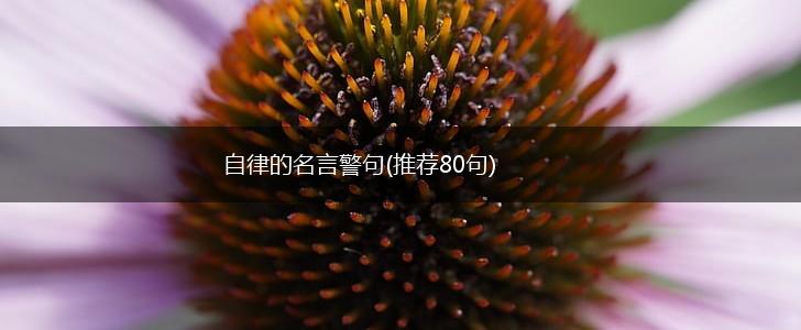 自律的名言警句(推荐80句),第1张 自律的名言警句(推荐80句),第1张