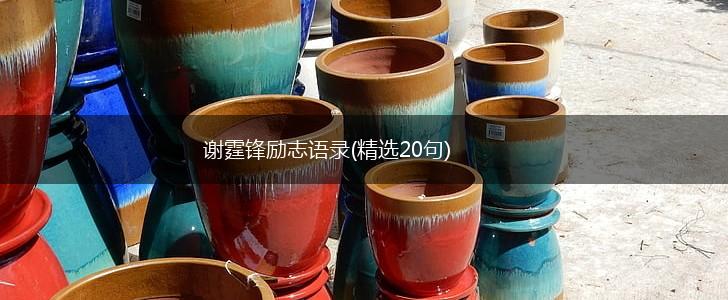 谢霆锋励志语录(精选20句),第1张