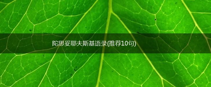 陀思妥耶夫斯基语录(推荐10句),第1张