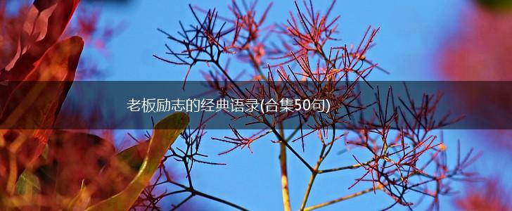 老板励志的经典语录(合集50句),第1张