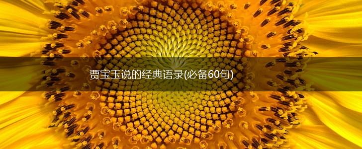 贾宝玉说的经典语录(必备60句),第1张