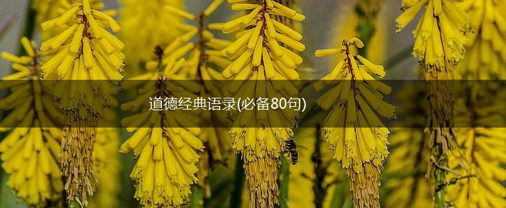 道德经典语录(必备80句),第1张