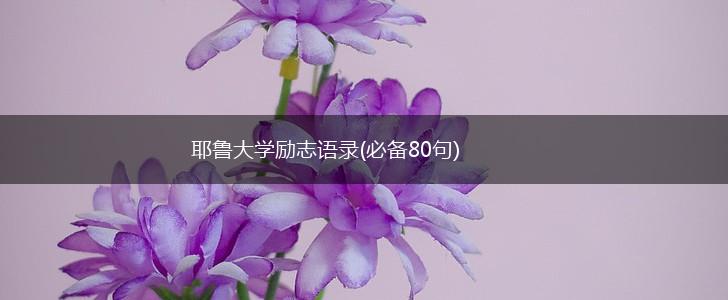 耶鲁大学励志语录(必备80句),第1张