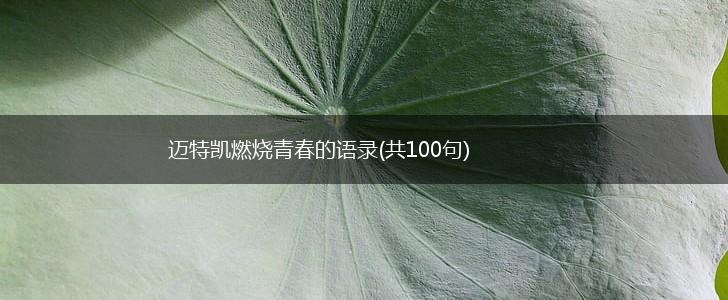 迈特凯燃烧青春的语录(共100句),第1张