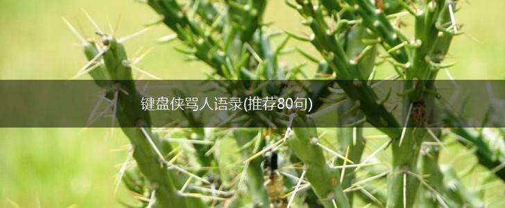 键盘侠骂人语录(推荐80句),第1张