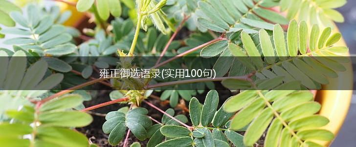 雍正御选语录(实用100句),第1张