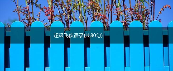 超级飞侠语录(共80句),第1张