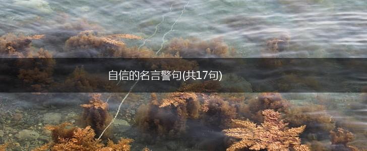 自信的名言警句(共17句),第1张