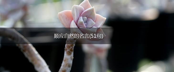 顺应自然的名言(51句),第1张