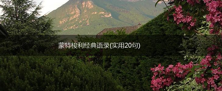 蒙特梭利经典语录(实用20句),第1张