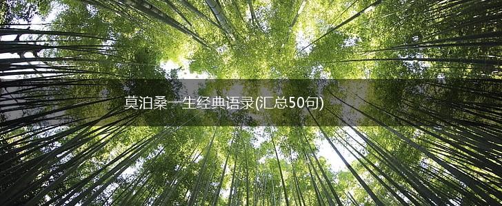莫泊桑一生经典语录(汇总50句),第1张