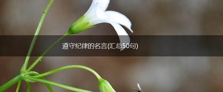 遵守纪律的名言(汇总50句),第1张 遵守纪律的名言(汇总50句),第1张