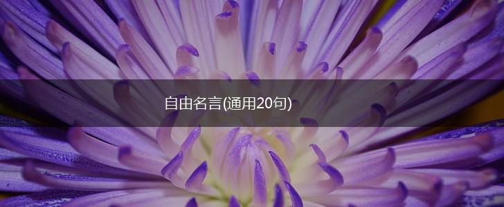 自由名言(通用20句),第1张 自由名言(通用20句),第1张