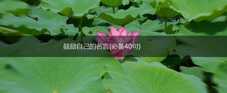 鼓励自己的名言(必备40句),第1张