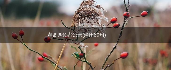 董卿朗读者语录(通用80句),第1张