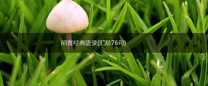 间客经典语录(汇总76句),第1张