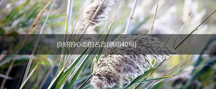 良好的心态的名言(通用40句),第1张 良好的心态的名言(通用40句),第1张