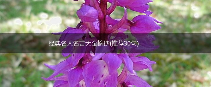 经典名人名言大全摘抄(推荐30句),第1张