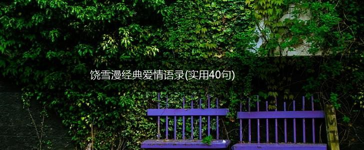 饶雪漫经典爱情语录(实用40句),第1张