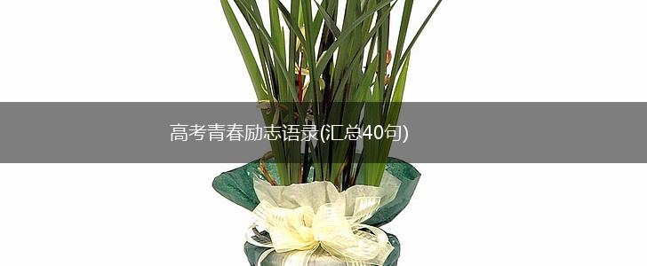 高考青春励志语录(汇总40句),第1张