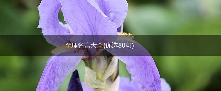 至理名言大全(优选80句),第1张 至理名言大全(优选80句),第1张